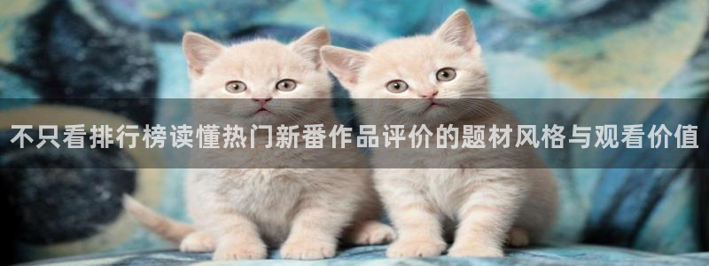 新番动画推荐
