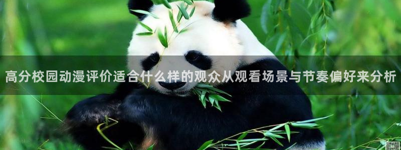 在线动漫大全