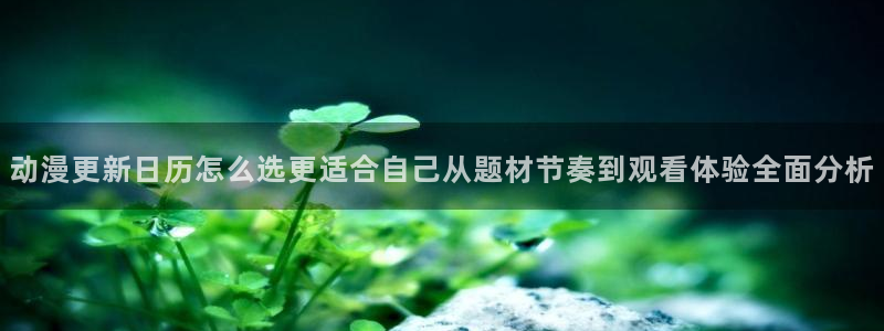 动漫推荐榜