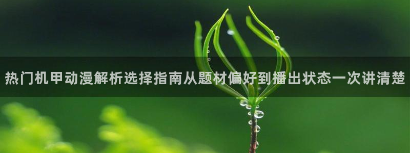 新番动漫大全