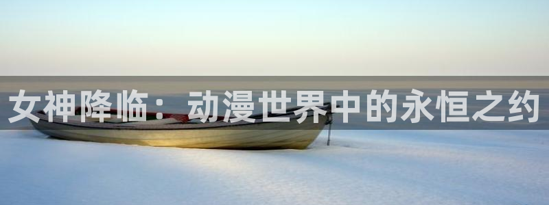 动画新闻