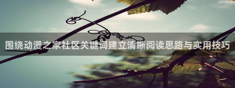 本季新番