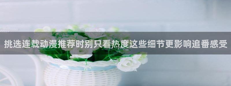 新番动画排行