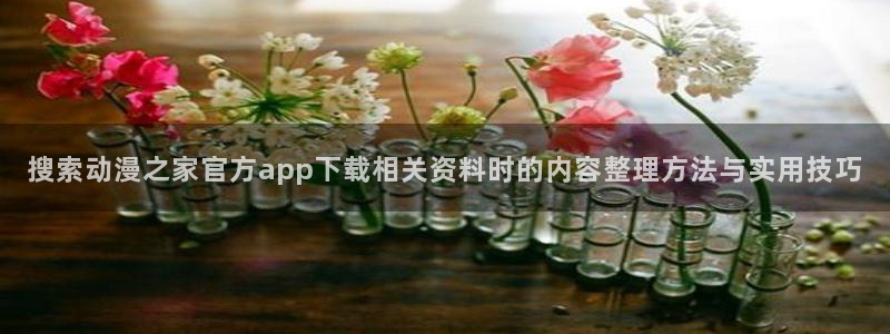 最新动漫资讯