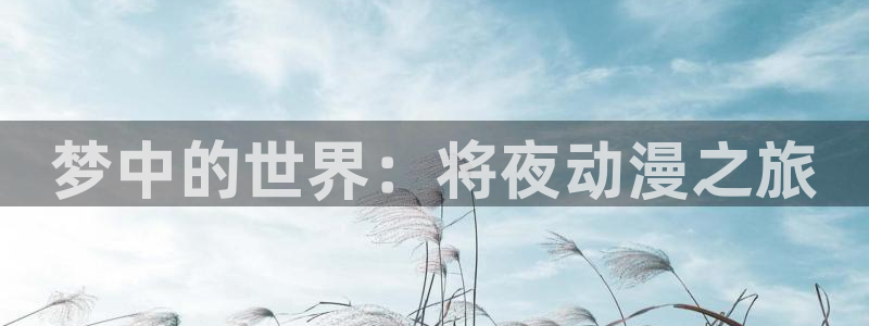 动漫作品查询