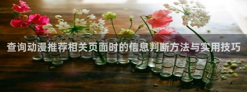 动漫作品搜索