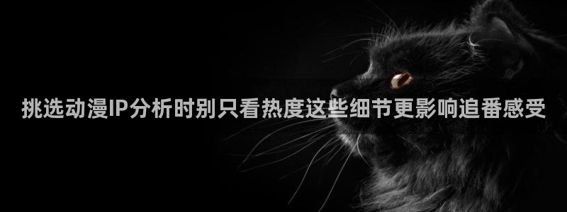 动漫更新表