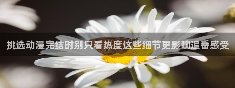 连载动画