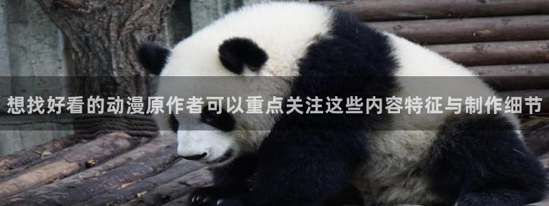 冒险动漫：想找好看的动漫原作者可以重点关注这些内容特征与制作细节