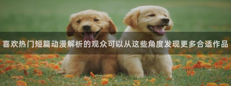 日本动漫大全：喜欢热门短篇动漫解析的观众可以从这些角度发现更多合适作品